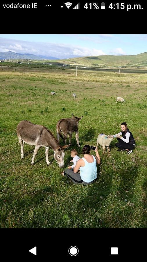 Skellig View Sunset Cliffs View Apartment Portmagee Dış mekan fotoğraf
